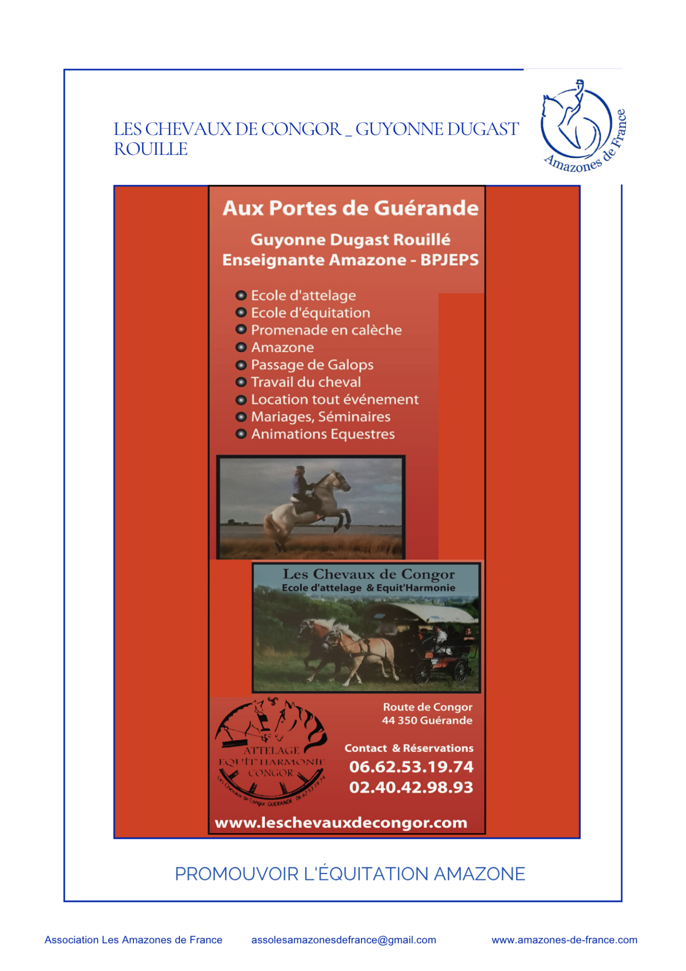 Les chevaux de congor guyonne dugast rouille professionnels adherents les amazones de france
